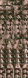 Jesse Jane - Fighters (2011) BDRip 720p